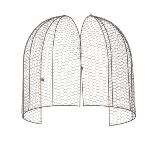 Image of Cloche Dome - Large