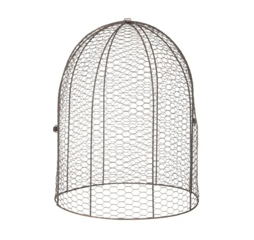 Image of Cloche Dome - Large