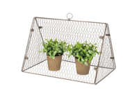 Image 2 of Triangle Wire Garden Cloche