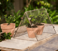 Image 1 of Triangle Wire Garden Cloche