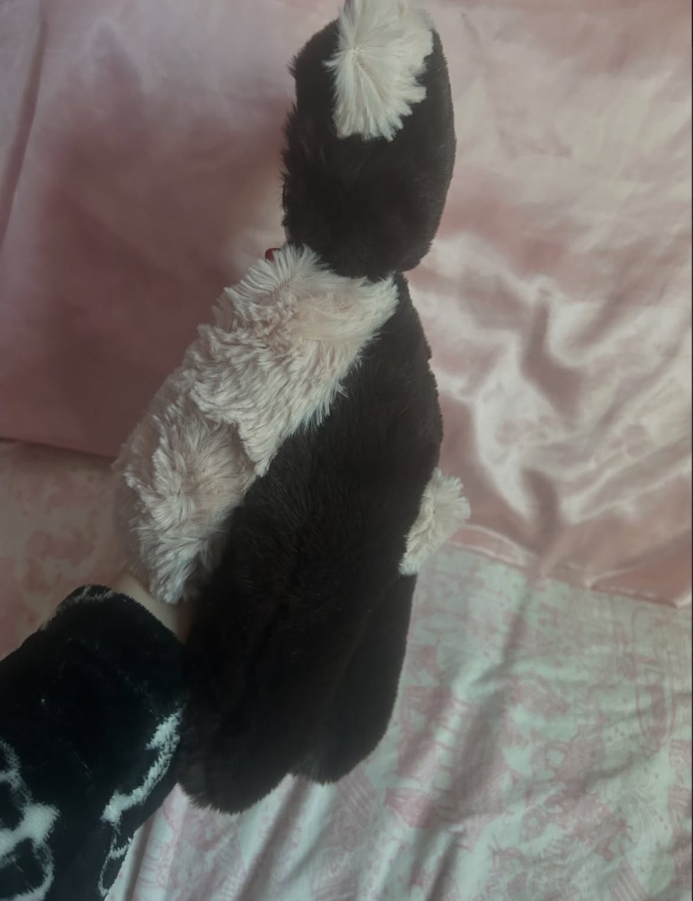 Image of hazelnut the chocolate strawbear🍓