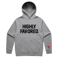 HF WORD GREY HOODIE