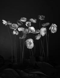 The Rejects 2025: Into the Woods