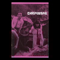 Image 1 of Chromosome