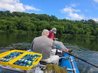 Image 4 of Cliff Fly Boxes
