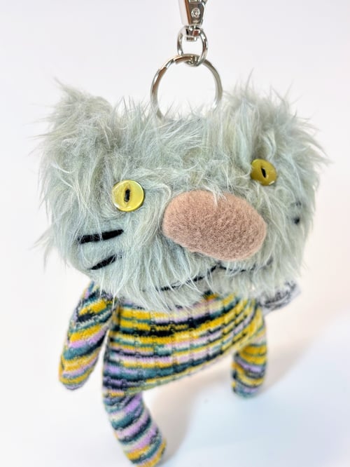 Image of Evie the cat