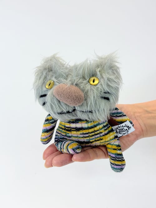 Image of Evie the cat