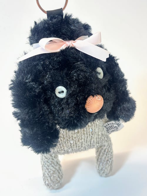 Image of Lisa the poodle 