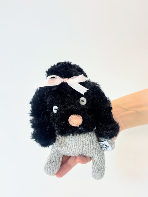 Image of Lisa the poodle