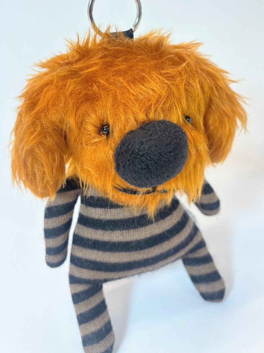 Image of Rolo the dog 