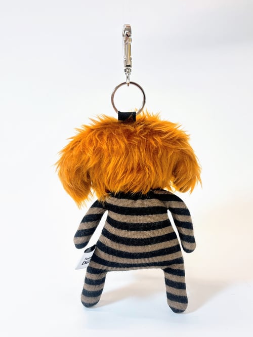 Image of Rolo the dog 