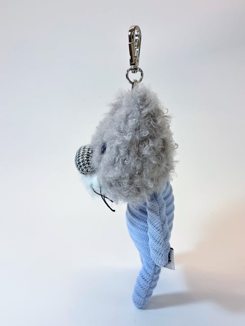 Image of Heidi the cat 