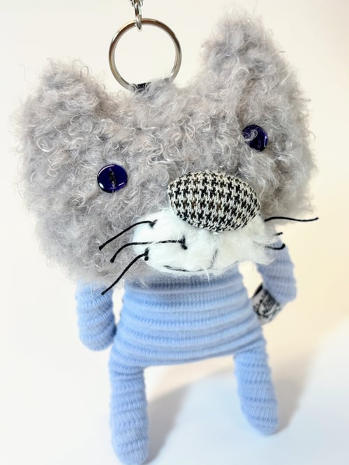 Image of Heidi the cat 