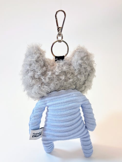 Image of Heidi the cat