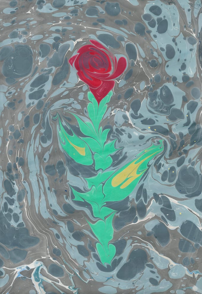 Image of Marbled Rose 1