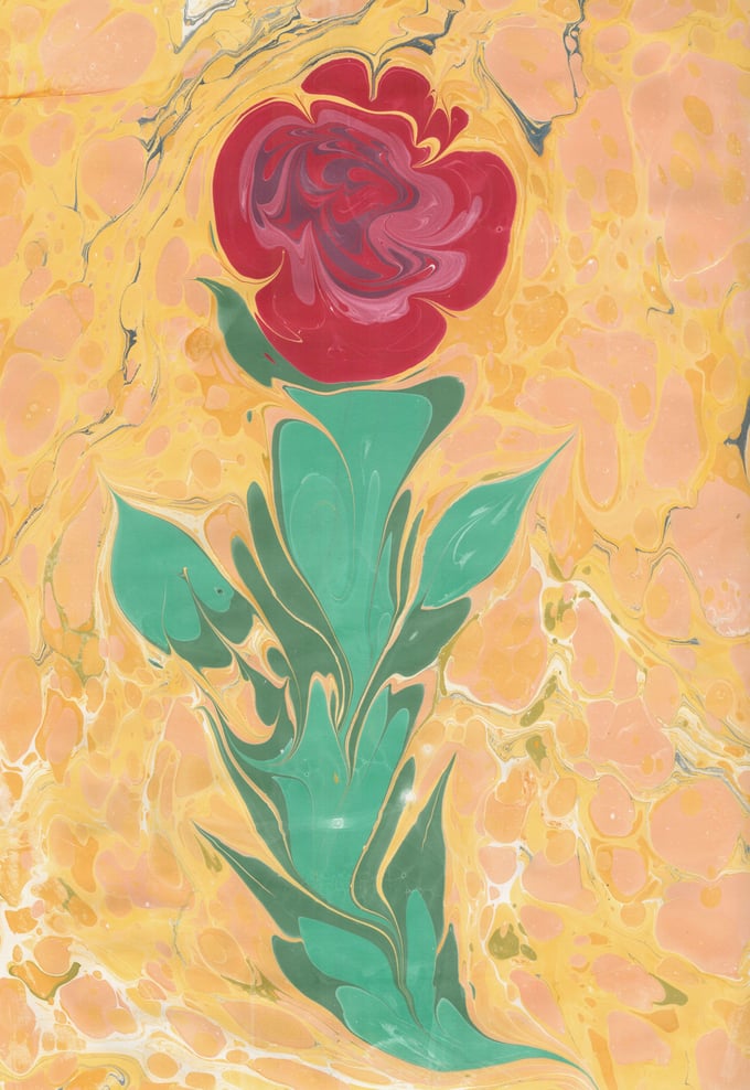 Image of Marbled Rose 2