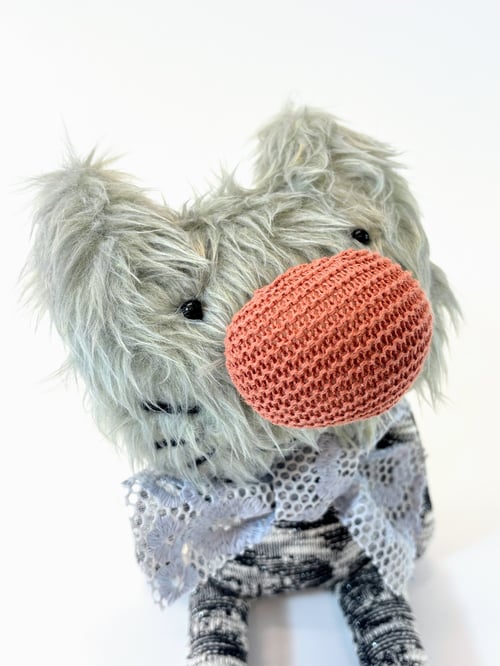 Image of Rorandy the cat