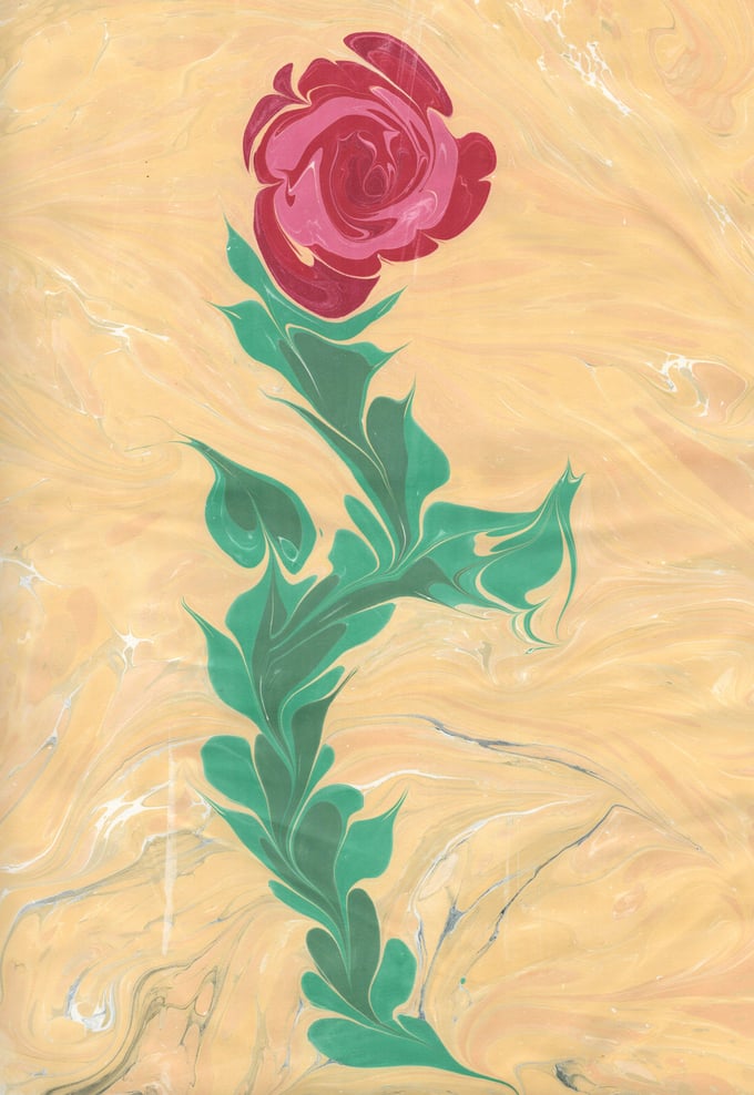 Image of Marbled Rose 3