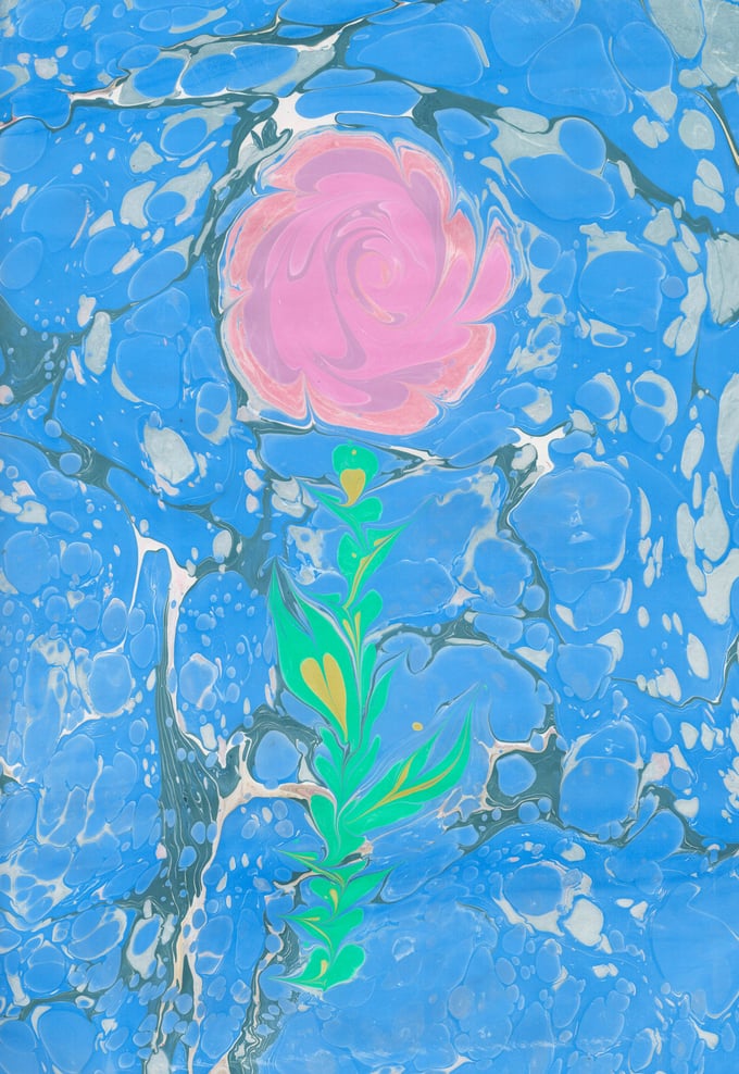 Image of Marbled Rose 4