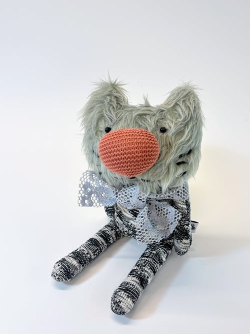 Image of Rorandy the cat