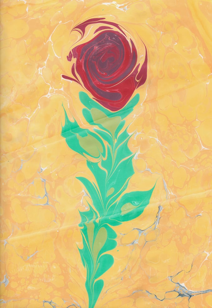 Image of Marbled Rose 5