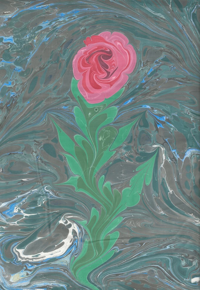 Image of Marbled Rose 6