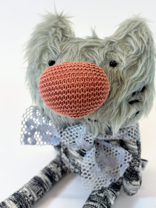 Image of Rorandy the cat