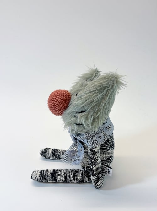 Image of Rorandy the cat