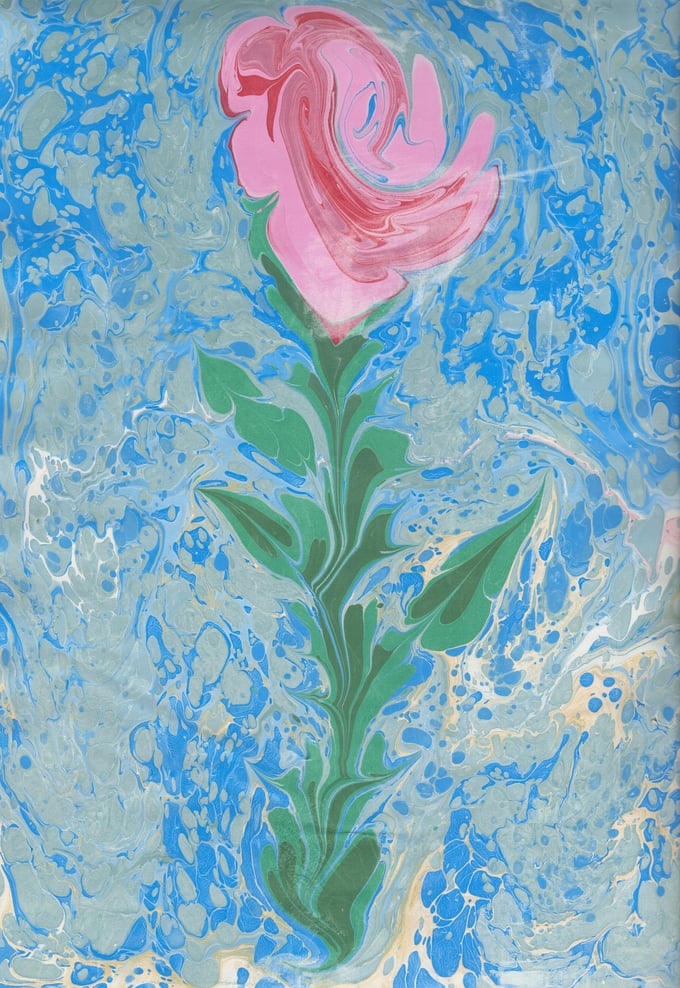 Image of Marbled Rose 9