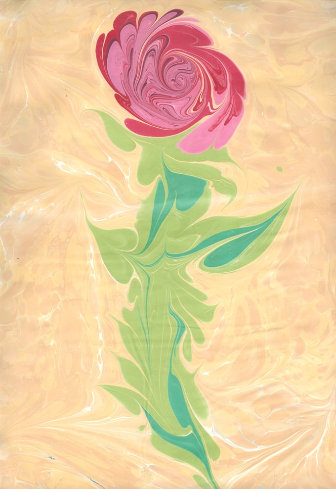 Image of Marbled Rose 10