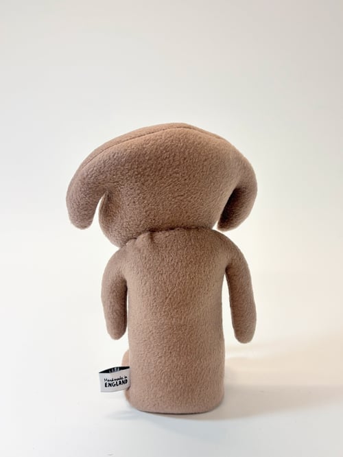 Image of Sam the sausage dog