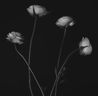 The Rejects 2025: Build Me Up, Buttercup