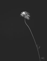 The Rejects 2025: Dancing in the Dark