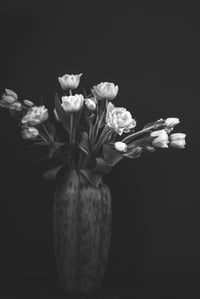 The Rejects 2025: A Mother's Love