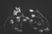 The Rejects 2025: Be Our Guest