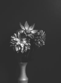 The Rejects 2025: Love Thy Neighbor as Thyself; or Agape 