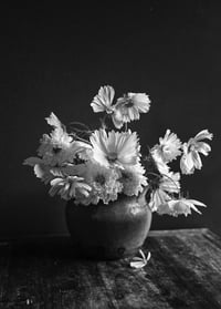 The Rejects 2025: Beth and the Cosmos