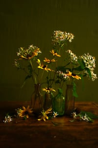 The Rejects 2025: Susan and the Asters