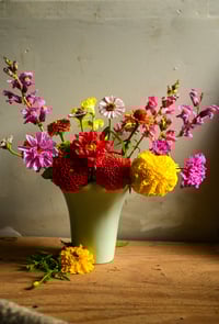 The Rejects 2025: Funeral for a Friend; or Flowers with Melissa