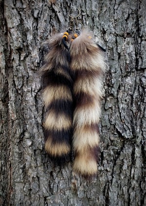 Image of Raccoon Tail Keychain