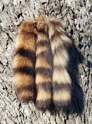 Image of Raccoon Tail Keychain