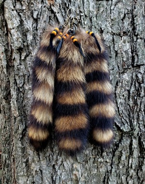 Image of Raccoon Tail Keychain