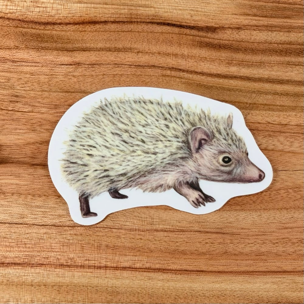 Image of Miss Prickles Vinyl Sticker