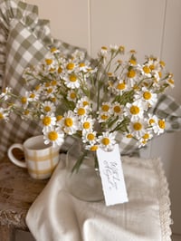 Image 2 of Dainty Daisy Bouquet ( 3 bundles )