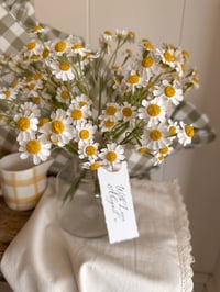 Image 1 of Dainty Daisy Bouquet ( 3 bundles )