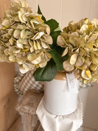 Dusky Green Giant Hydrangeas ( Set of 2 )