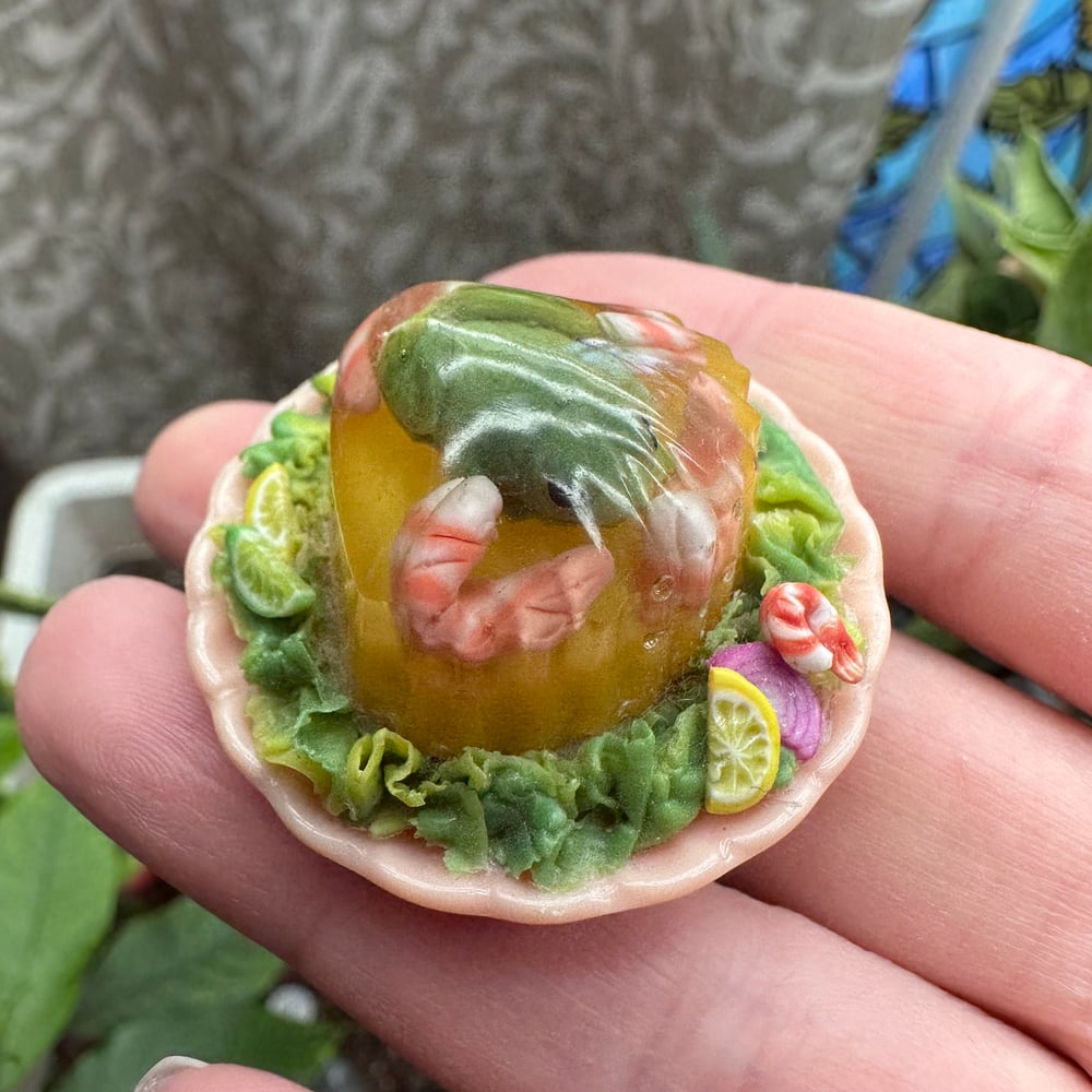 Image of Frog in Gelatin