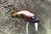 Image 3 of Custom Airbrushed Wakebait 8850