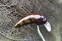 Image 2 of Custom Airbrushed Wakebait 8850