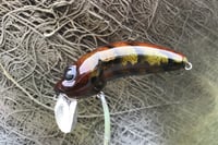 Image 5 of Custom Airbrushed Wakebait 8850